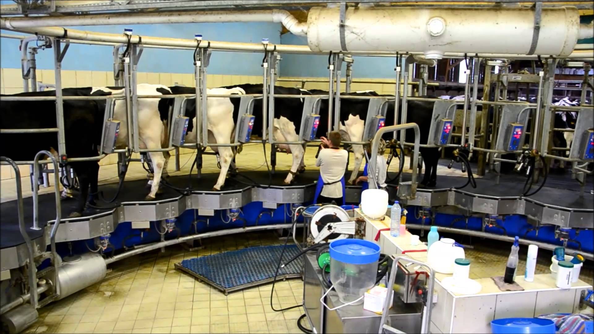 UC0423 - Gestion de la production et de la santé des vaches laitières